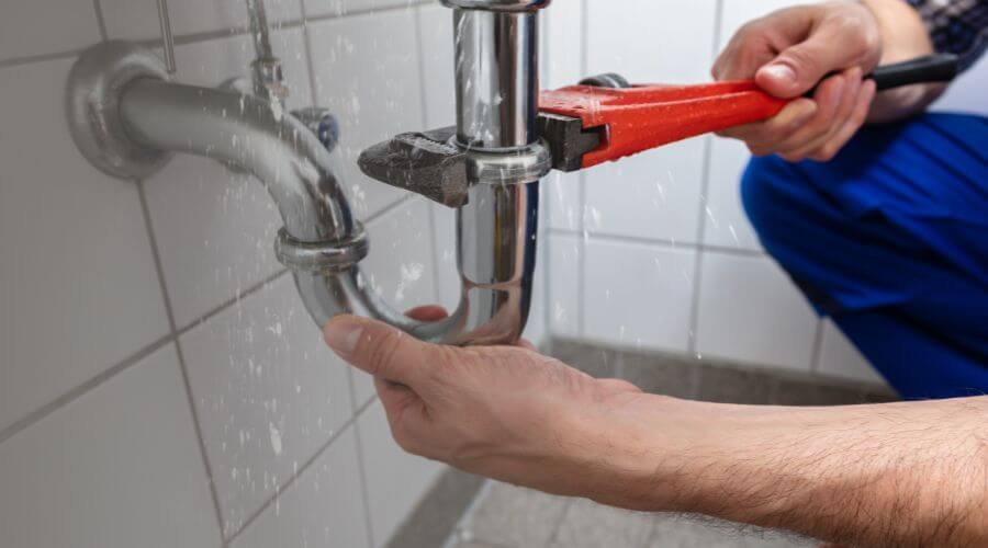 Professional Leak Detection services in Viola, DE